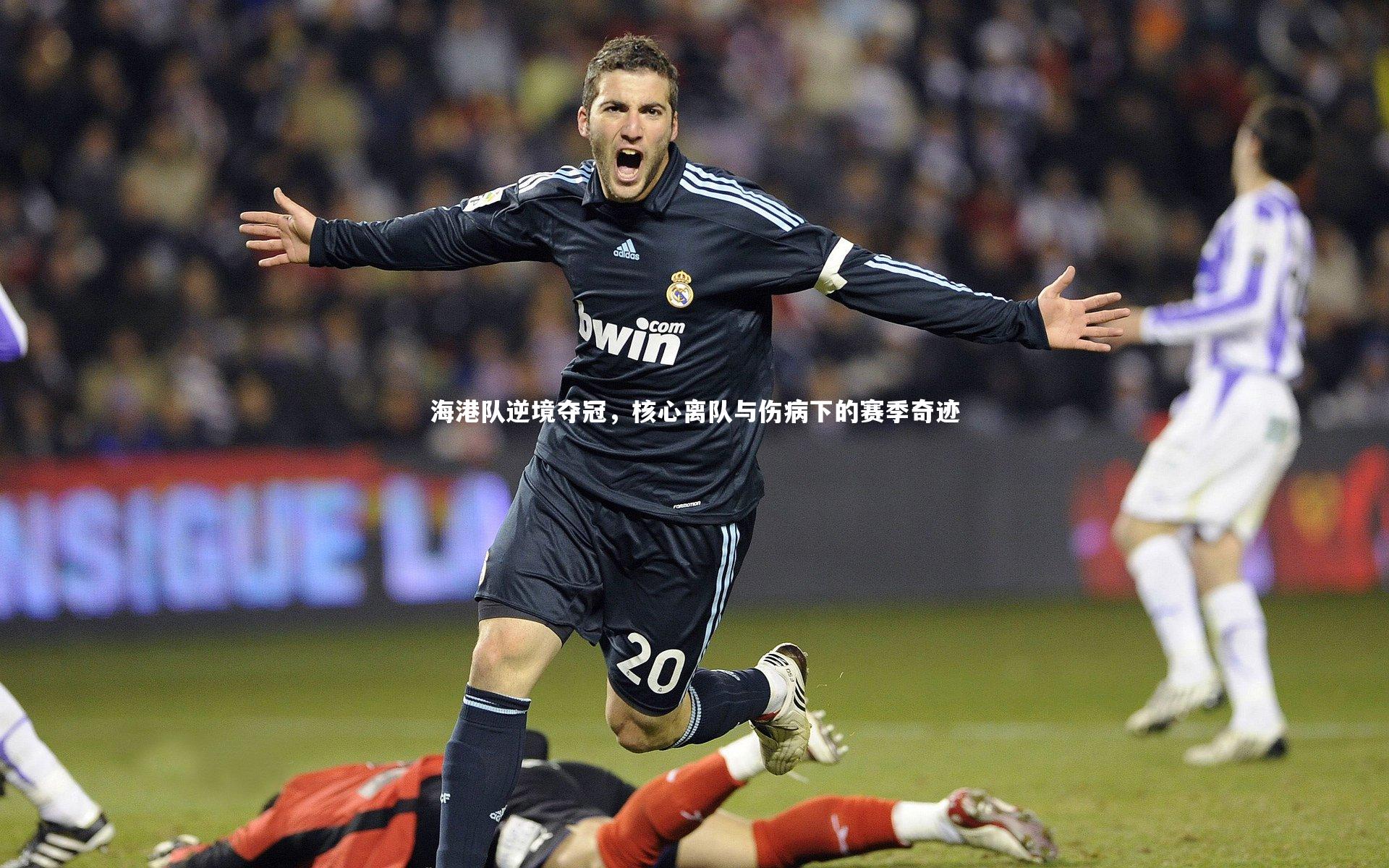 九游体育官网_海港队逆境夺冠，核心离队与伤病下的赛季奇迹